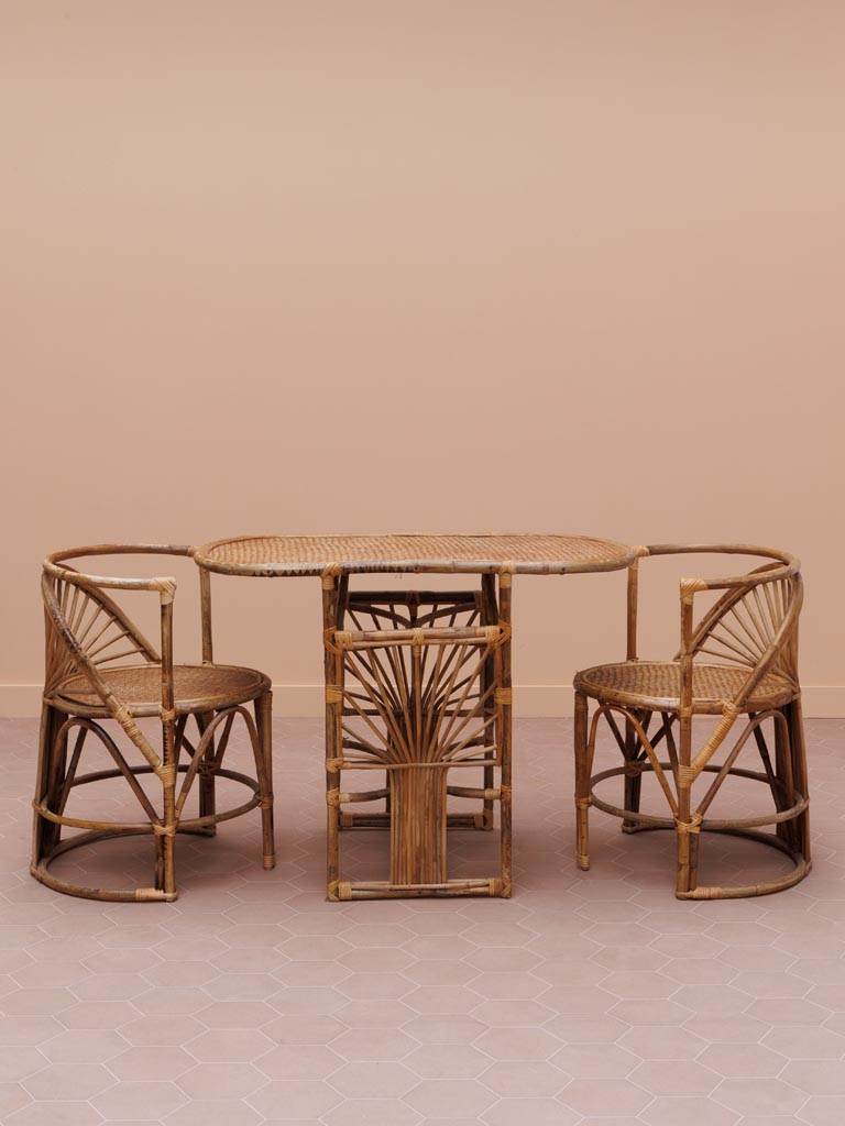 Ensemble table ovale 2 chaises rotin Trinidad bois foncé vue de face — Bōme