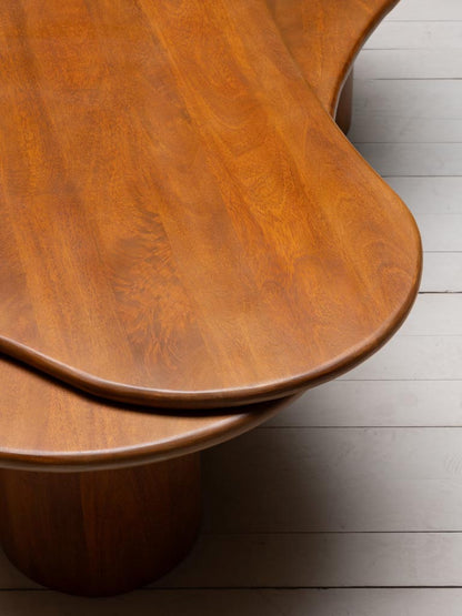 Détail contours organiques manguier bois chaud table Synergy — Bōme
